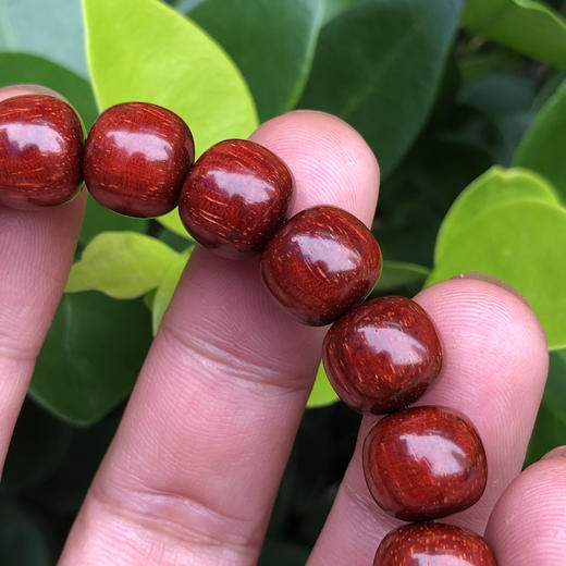 【青山特惠】10*11mm21颗5星180度龙鳞 小叶紫檀手串 t10 商品图2