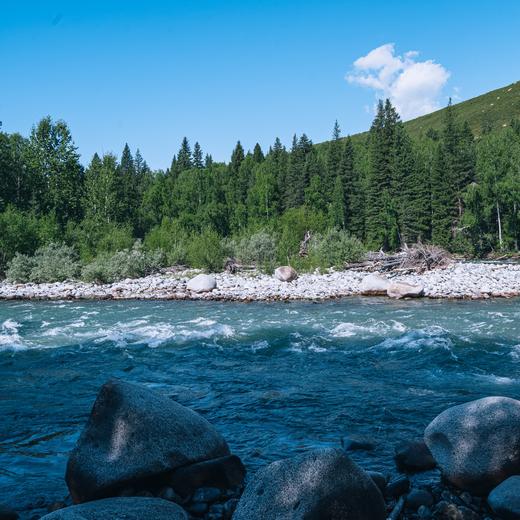 【暑假】从东疆绿洲飞去北疆游牧，跟着书本去游遍新疆 9天8晚 商品图13