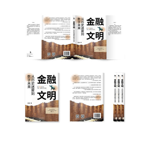 金融文明：从历史迷雾到数字未来；普及金融知识、提升民众金融素养 防范金融诈骗、培育健康的金钱观和投资理念 商品图3