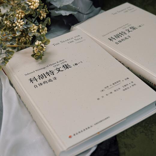 万千心理·科胡特文集（卷一+卷二）[限量文创礼盒套装] 商品图7