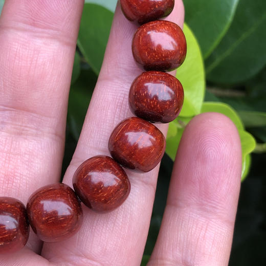 【青山特惠】10*11mm21颗5星180度龙鳞 小叶紫檀手串 t10 商品图3