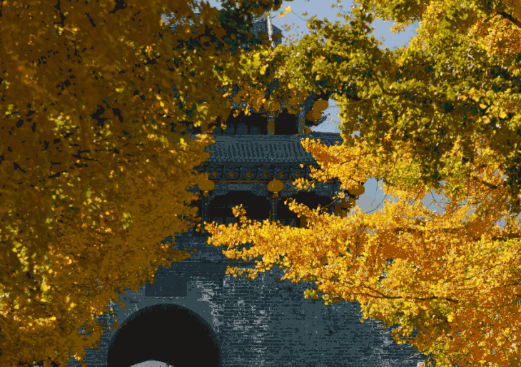 公认“乌发高手”，血脂怕它！92岁长寿老人早餐吃，肝肾双补、头发乌精神好