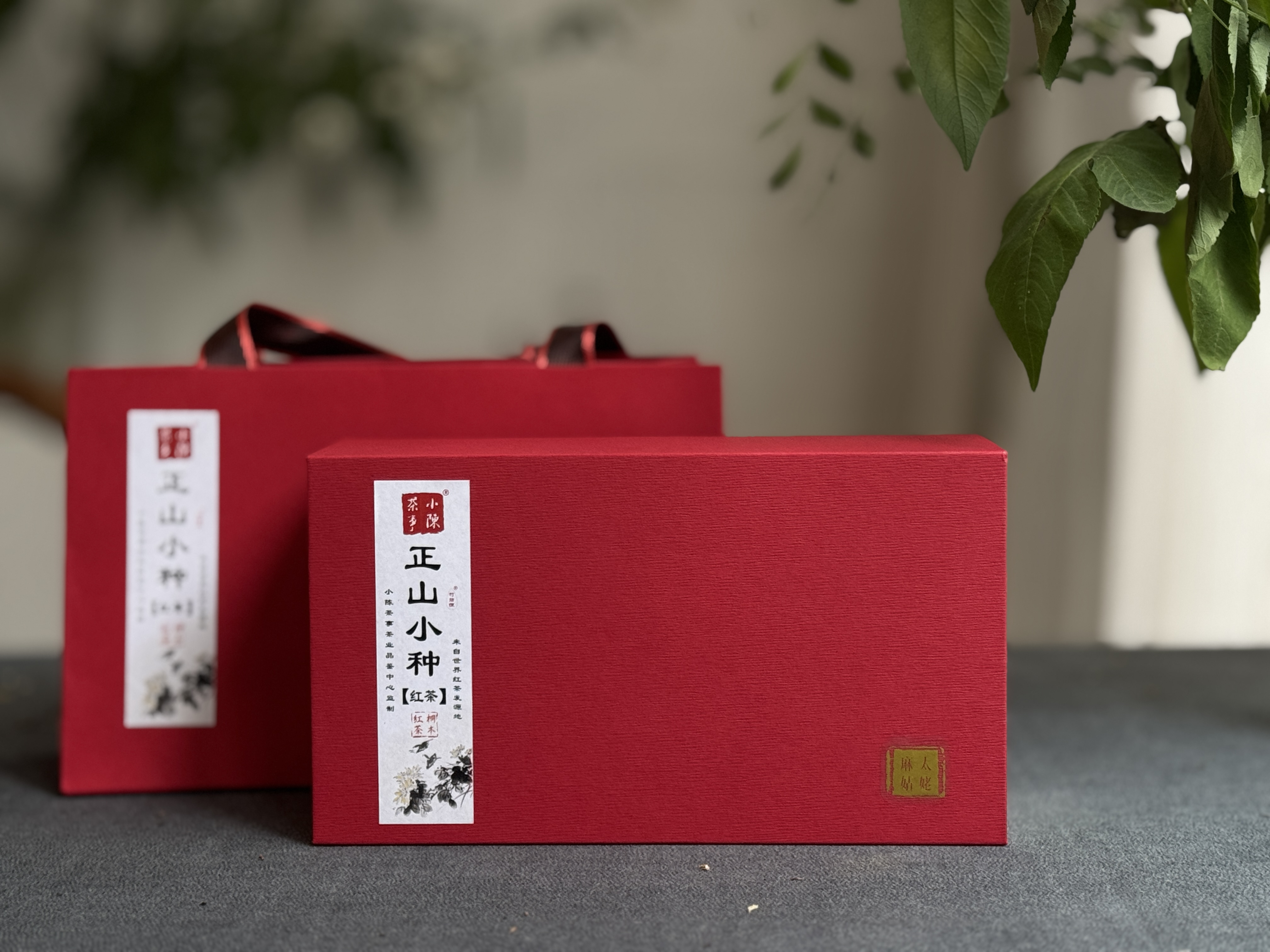 【家有好茶】2025桐木正山小种红茶，一呼一吸都是花蜜香与桂圆果香，丰腴，甘爽，和美