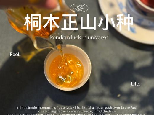 【家有好茶】2025桐木正山小种红茶，一呼一吸都是花蜜香与桂圆果香，丰腴，甘爽，和美 商品图8