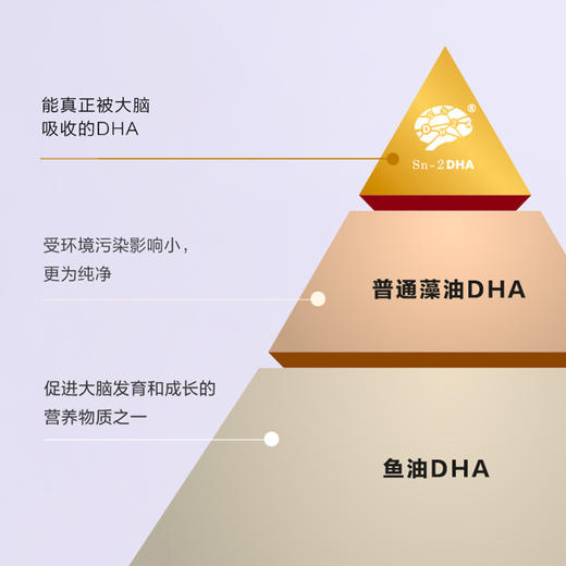 PERDAYS全孕期DHA 商品图2