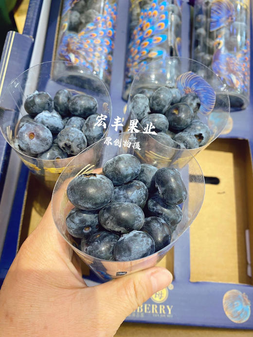 【宏丰精选】云南花香蓝莓，果粉足，口感纯甜，活动价39.8一桶 商品图3