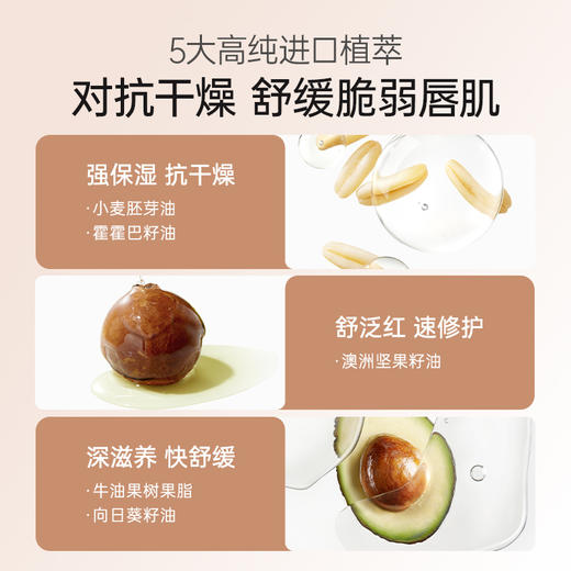 【水润唇膏】长效保湿 润护双唇改善干燥 小麦胚芽水润倍护润唇膏（3.6g） 商品图2