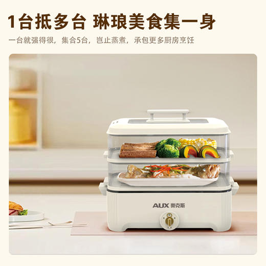 【可蒸可火锅❗️双层大容量】AUX-奥克斯电蒸火锅家用多功能电火锅5L大容量透明三层电蒸锅。jc 商品图2