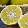 【花山黄金葡萄柚】5斤/件 清甜可口 汁味浓郁 商品缩略图1