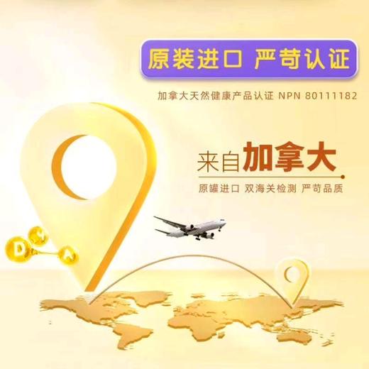 澳贝高DHA藻油16.92g/罐（90粒）原罐进口 商品图4
