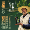 【色泽金黄】茂格 橄榄油 500ml*2瓶头道青果初榨 商品缩略图0
