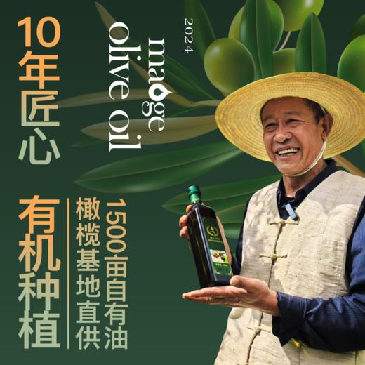 【色泽金黄】茂格 橄榄油 500ml*2瓶头道青果初榨 商品图0