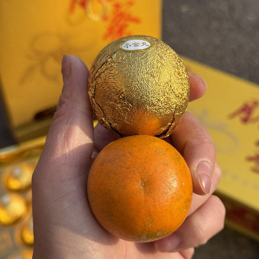 融安龙珠大金柑 商品图1