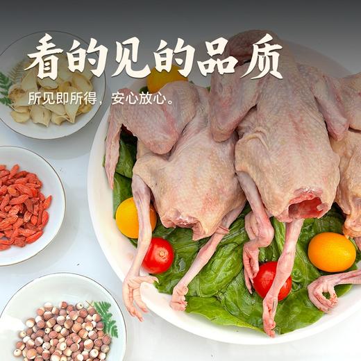 【发出后不支持拦截退货】杨博士 皖南林鸽 350g*2+400g*1（赠党参黄芪汤包60g*1） 商品图2