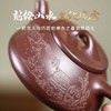 宜兴紫砂壶丨景舟石瓢 原矿紫泥 紫玉金砂 刻绘石瓢 245CC 经典器型 可泡各种茶类 商品缩略图1