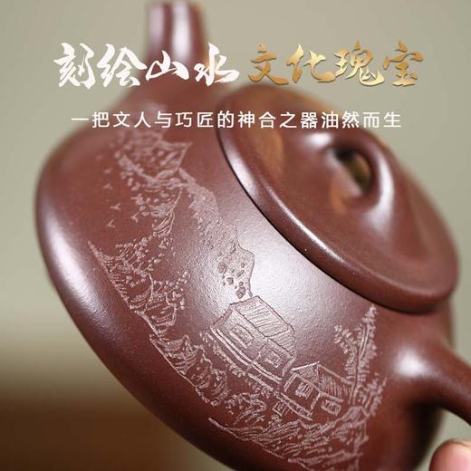 宜兴紫砂壶丨景舟石瓢 原矿紫泥 紫玉金砂 刻绘石瓢 245CC 经典器型 可泡各种茶类 商品图1