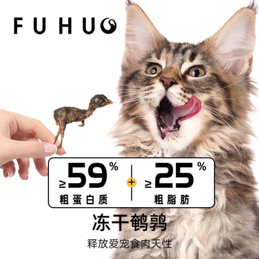 【俘获好礼】俘获G5冻干鹌鹑整只生骨肉成幼猫狗狗小鹌鹑营养磨牙零食 商品图4