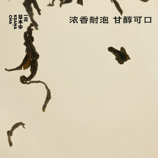 观沧海·奇兰岩茶 | 进阶原叶系列 | 50g原叶 | 乌龙茶类 商品图1