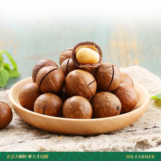 [唐老板专属]新农哥奶香味大坚果颗粒夏威夷果225g/罐配料干净罐装零食 商品图5