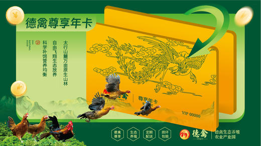德禽/尊享年卡/德禽生态鸡蛋每月配送60枚12次配送 德禽生态散养生态鸡4只(公鸡/母鸡随机) 商品图1