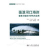 强浪河口海岸建港关键技术研究与应用 商品缩略图3