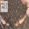 金贵厨 黎平农家小榨菜籽油 5L 商品缩略图3