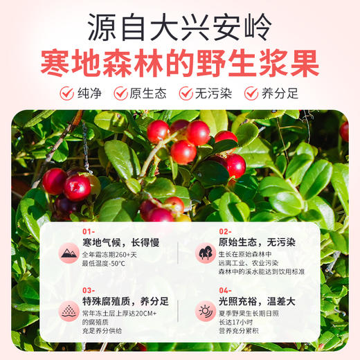 ⁴69元2大袋【野生蔓越莓果干（红豆果）】 250g/袋YC04-CR-YKSC【白桦树采汁】 商品图1