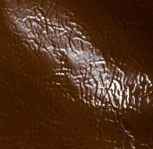 一店d 年后发❗️搞𝐦𝐢𝐮新大爆款托特包 官宣的秀款 𝐢𝐯𝐲 𝐧𝐚𝐧𝐨很迷你的尺寸 漆皮配色➕拼接两大系列三色全都是当下难买的配色  妥妥的神包 可手提 可腕挎、单肩斜挎都ok 商品图3