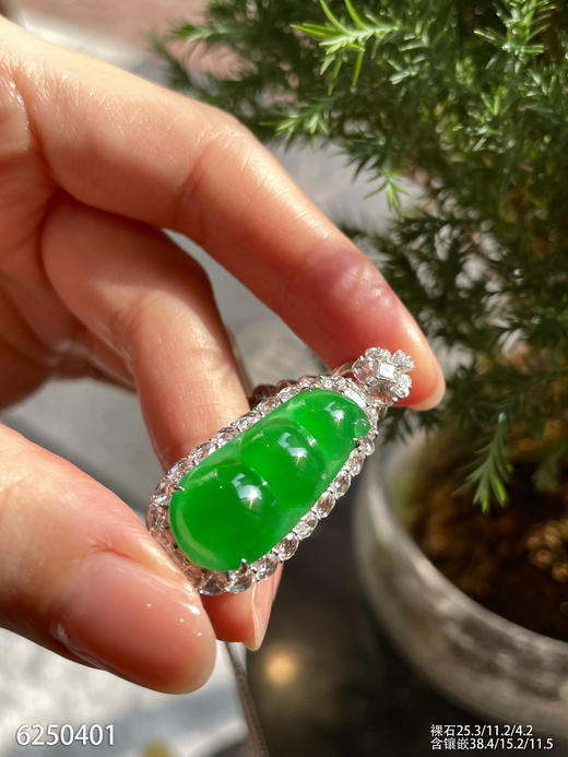 富贵豆吊坠【6250401】具体价格微信咨询 商品图5