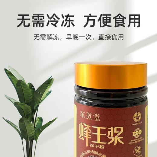 272003东贡堂蜂王浆冻干粉片升级组 商品图2