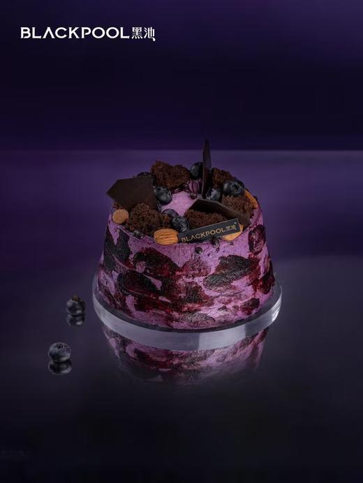 65%黑巧蓝莓奶油蛋糕（实心款） | 黑池 商品图0