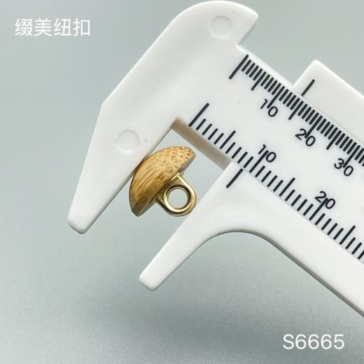 S6665(整包购买) 商品图3