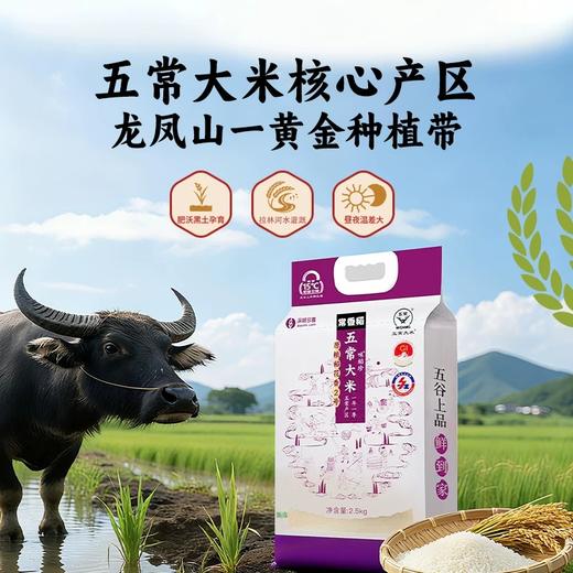 深粮稻花香2号五常大米 绵软略粘芳香爽口 剩饭不回生 商品图0