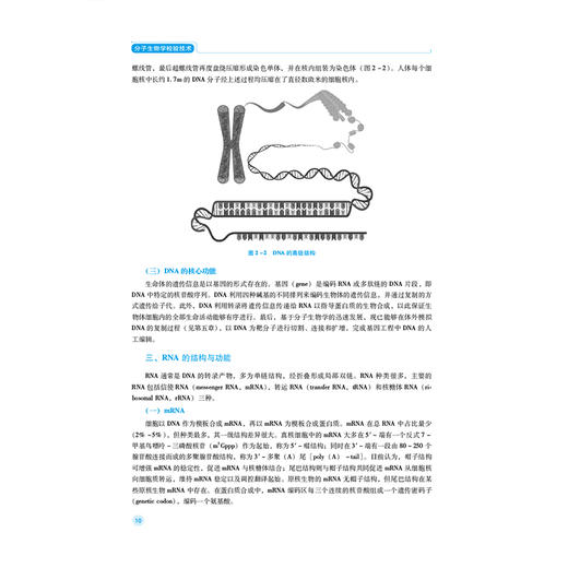 分子生物学检验技术 第2二版 全国高职高专医学检验技术专业规划教材(第二轮)陈道桢 供医学检验技术等专业用 中国医药科技出版社 商品图4