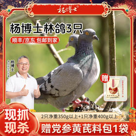 【发出后不支持拦截退货】杨博士 皖南林鸽 350g*2+400g*1（赠党参黄芪汤包60g*1）