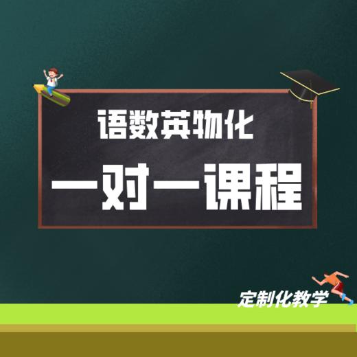 一对一课程试听体验（语数英物化） 商品图0