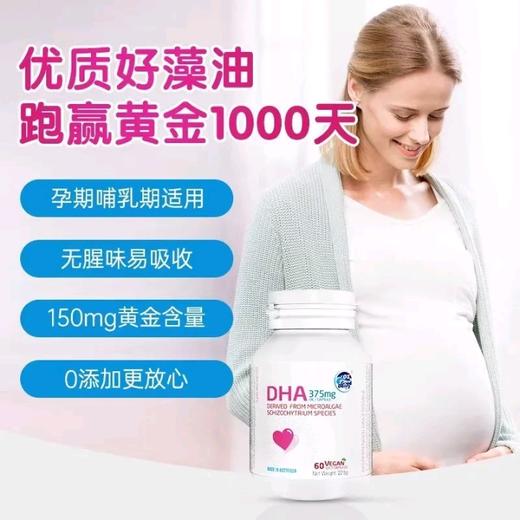 澳乐乳DHA藻油60粒/瓶备孕孕期哺乳期植物软胶囊海藻油黄金素孕妇dha藻油 商品图2