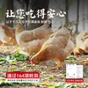 【发出后不支持拦截退货】杨博士 老母鸡 900g/900g*2 商品缩略图2