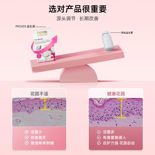 PROVEN女性益生菌季度装 商品图2