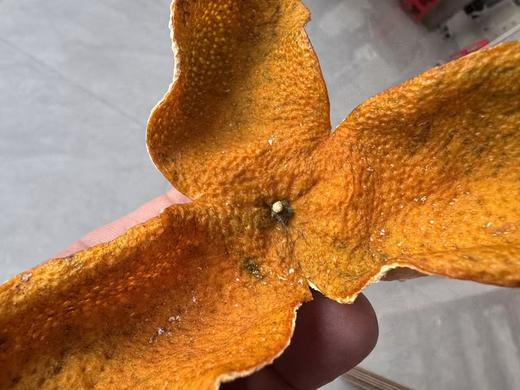 2025 梅江老树圈枝  二红柑皮 500克起 商品图0