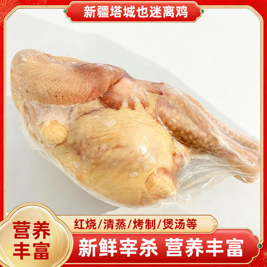 额雁·新疆塔城速冻鸡1~1.5kg /只  肉质鲜美筋道 商品图0