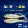 【舟山野生小黄鱼礼盒】黄金海域，纯正野生，液氮锁鲜，新年 “小金条”， 鲜礼首选！500克/袋，109元起 商品缩略图0