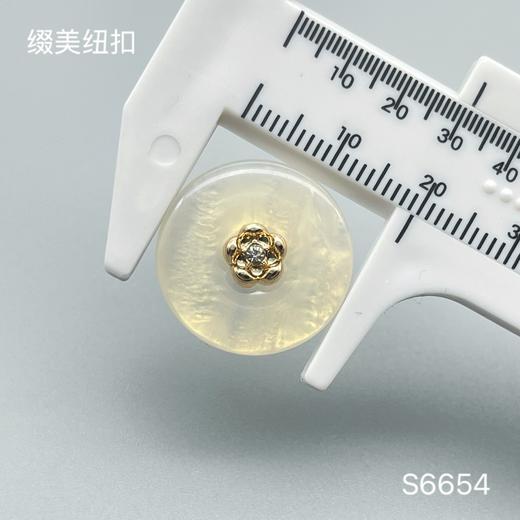 S6654(整包购买) 商品图2