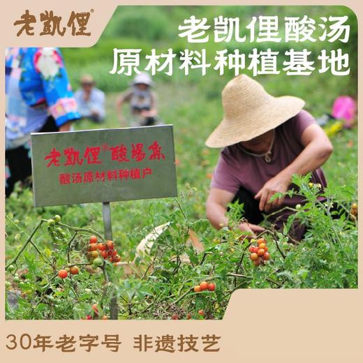 【老凯俚酸汤火锅底料】500g/2包 酸柔醇厚 色红汁清  商品图2