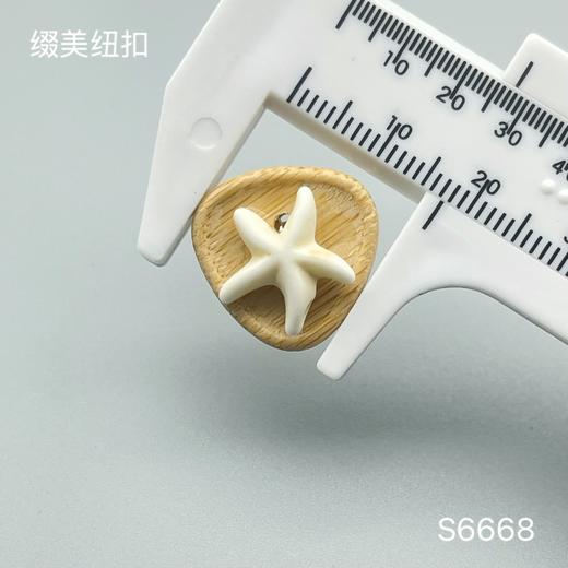 S6668(整包购买) 商品图2