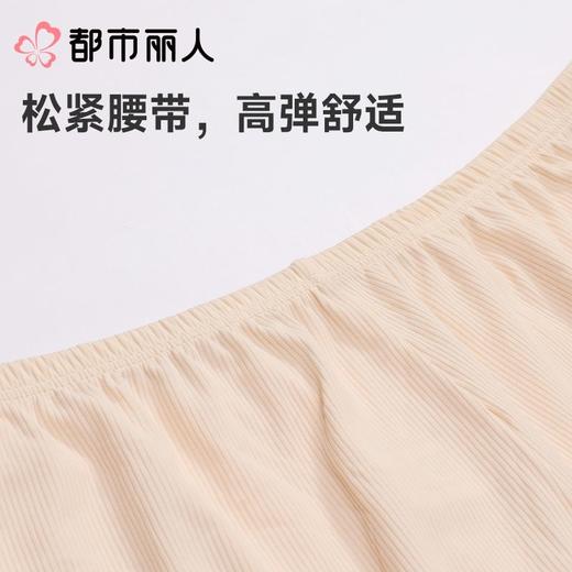 都市丽人打底裤安全裤防走光薄罗纹冰丝打底裤三分裤舒适打底LLC1C5 商品图5