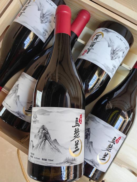 2023年份马瑟兰干型红酒 商品图4