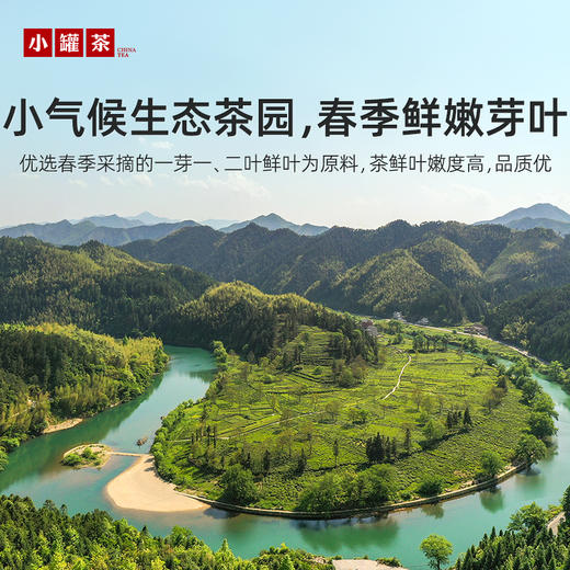 【上新】小罐茶园 彩标系列金骏眉红茶 升级版  90g 自饮伴手礼【现货】 商品图1
