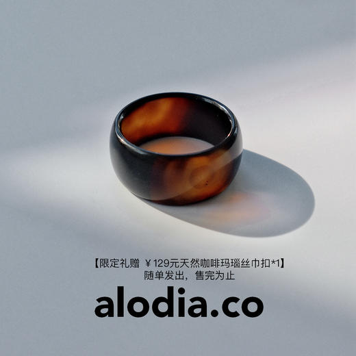 【G24005】alodia.co 桑蚕丝真丝羊毛丝巾方巾 法式复古老钱风高级感RJ136 商品图3