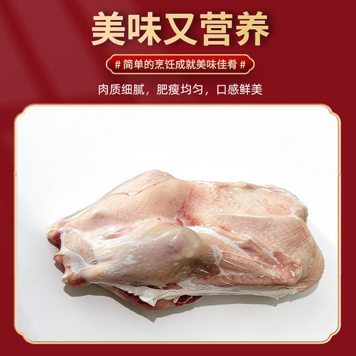 额雁·新疆塔城速冻飞鹅2000g/只  口感鲜香不油腻 商品图2